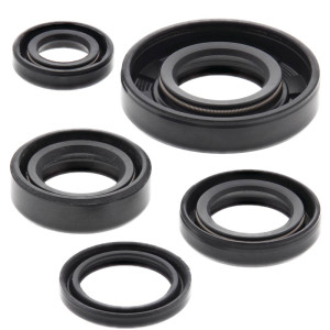 Engine Oil Seal Kit 822222