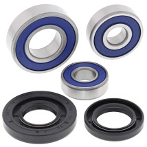ALL BALLS WHEEL BEARING KIT  25-1731